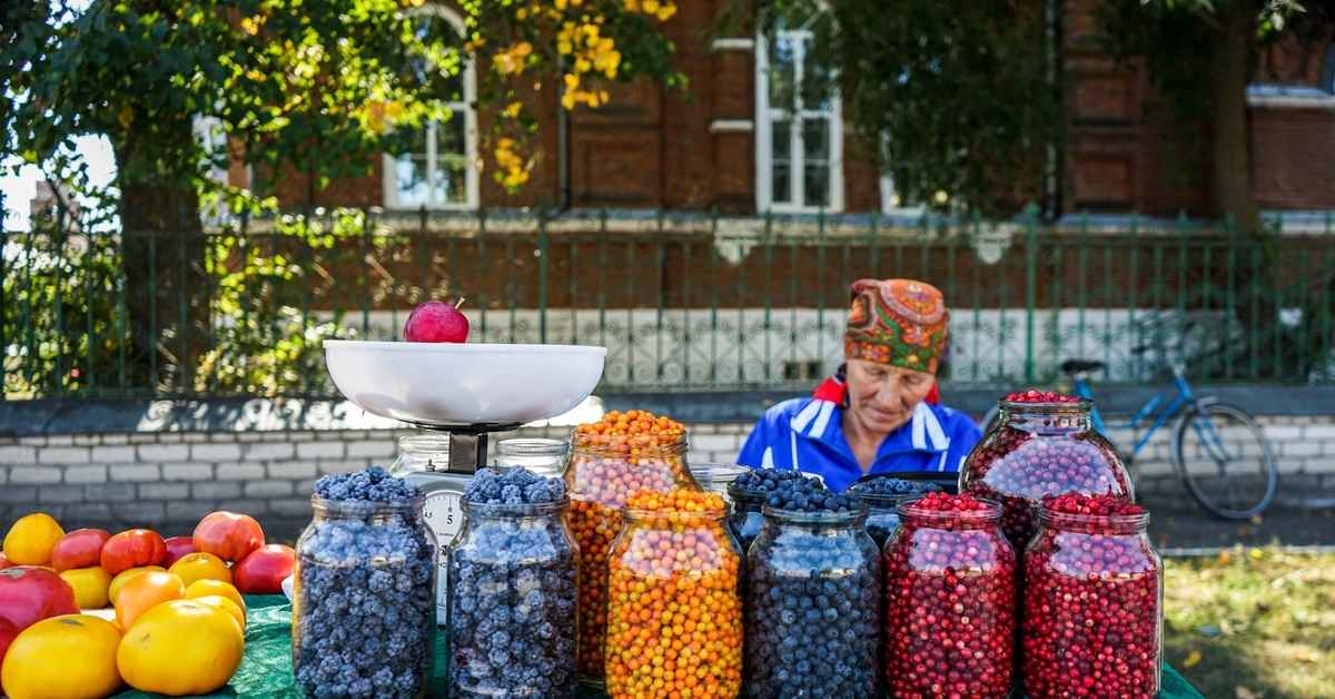 «Накапливает радиацию в 3 раза больше» - В санстанции предупредили белорусов об опасности покупать эту ягоду с рук