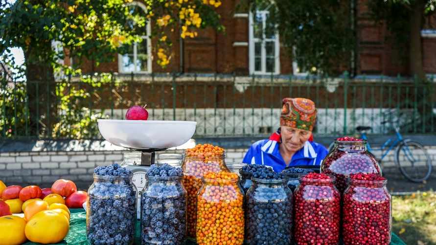 «Накапливает радиацию в 3 раза больше» - В санстанции предупредили белорусов об опасности покупать эту ягоду с рук