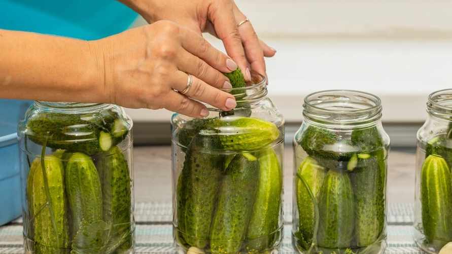 Какие огурцы нельзя консервировать? Смотрите на эти 6 признаков