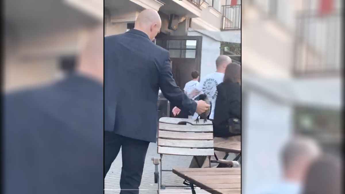"Это Вася!" – В TikTok появилось видео, как в минском кафе ворона удивила людей. Чем?