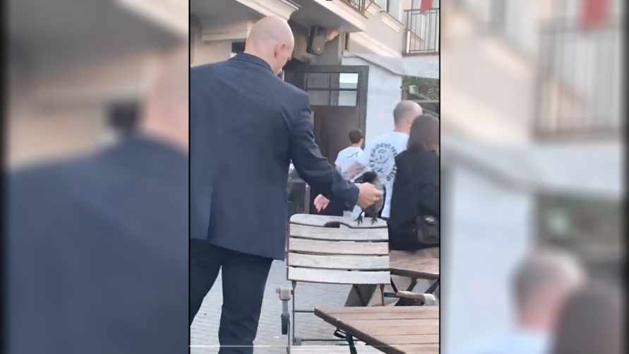 "Это Вася!" – В TikTok появилось видео, как в минском кафе ворона удивила людей. Чем?
