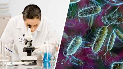 Госстандарт нашел в белорусских магазинах блины с кишечной палочкой. Как они выглядят?