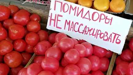 От 1,2 рубля за кило помидоров. Где в Беларуси можно уже закупиться овощами для закаток?