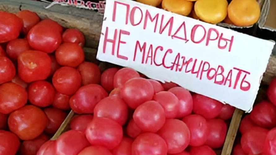 Фото иллюстрационное