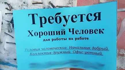В Беларуси появились «работодатели», которые, вместо зарплаты, забирают деньги. Что нужно знать?