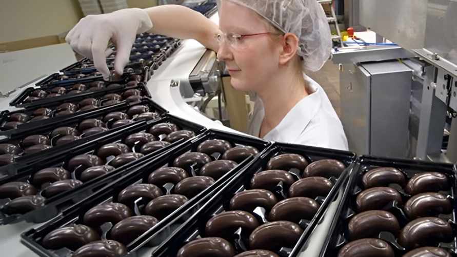 Фото иллюстрационное