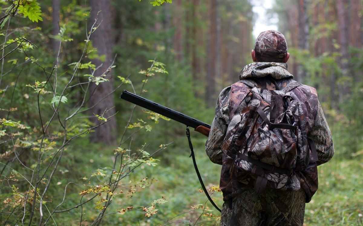 До трех лет тюрьмы. В Беларуси разрешили охотиться на бекаса. Но есть нюанс