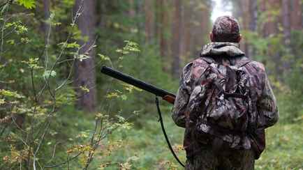 До трех лет тюрьмы. В Беларуси разрешили охотиться на бекаса. Но есть нюанс