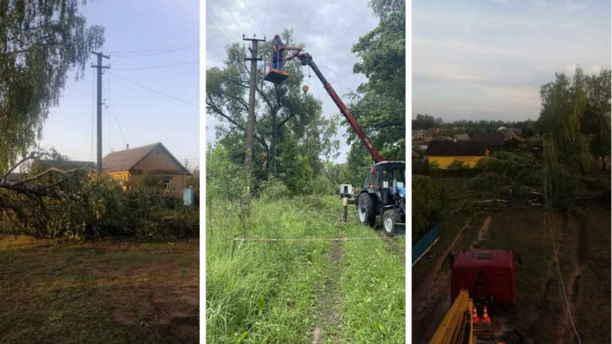Ветер и ливни оставили без света 169 городов и деревень в Беларуси. Минэнерго показало последствия