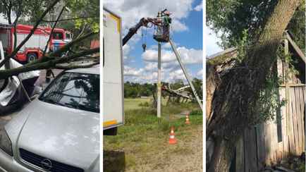 В Минэнерго и МЧС показали последствия шквалистого ветра в Беларуси
