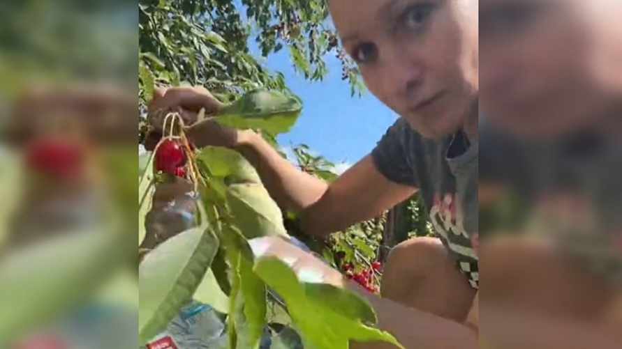 Фото: скриншот видео