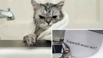 Кому из белорусов отключат горячую воду в августе? Проверьте, нет ли вашего адреса в списке