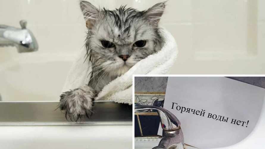 Кому из белорусов отключат горячую воду в августе? Проверьте, нет ли вашего адреса в списке