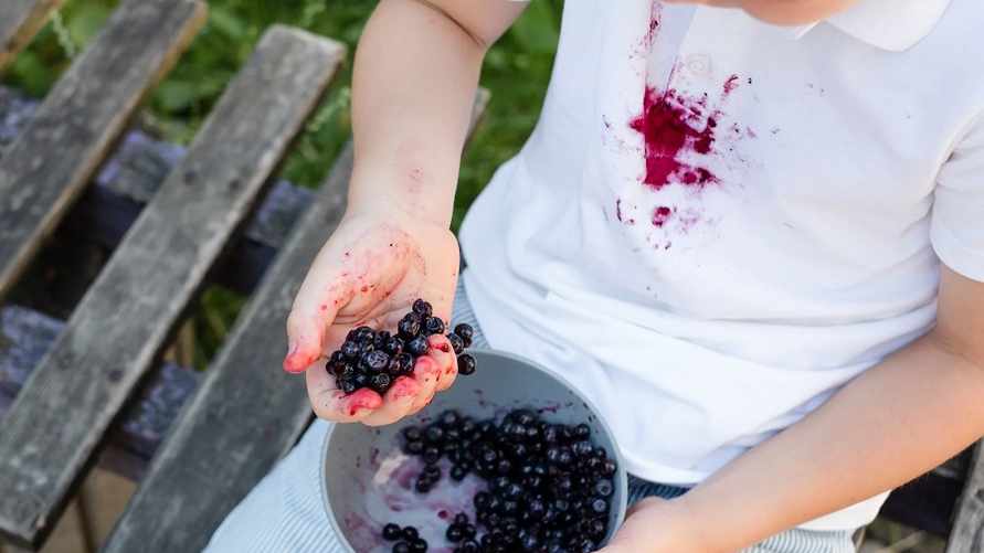 Как отмыть одежду от любых ягод без усилий? Проще способа не существует
