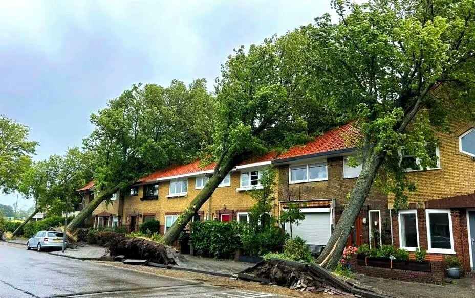 Где стихия достигнет "максимального могущества"? Белгидромет предупредил о шторме в среду