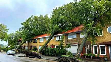 Где стихия достигнет «максимального могущества»? Белгидромет предупредил о шторме в среду