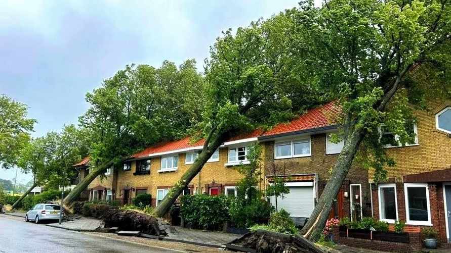 Где стихия достигнет "максимального могущества"? Белгидромет предупредил о шторме в среду