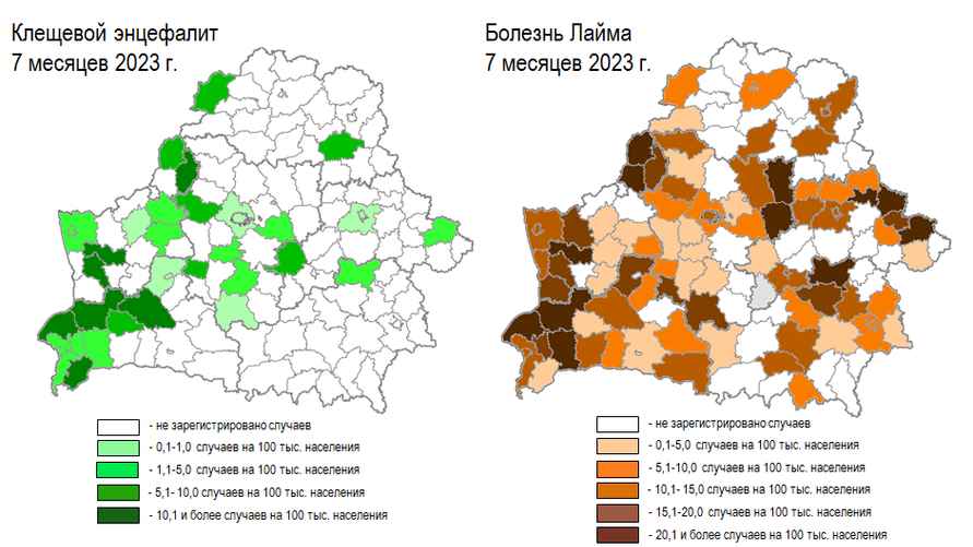 Территориальное распределение заболеваемости клещевым энцефалитом и болезнью Лайма в течение 7 месяцев 2023 года (в показателях на 100 тысяч населения).