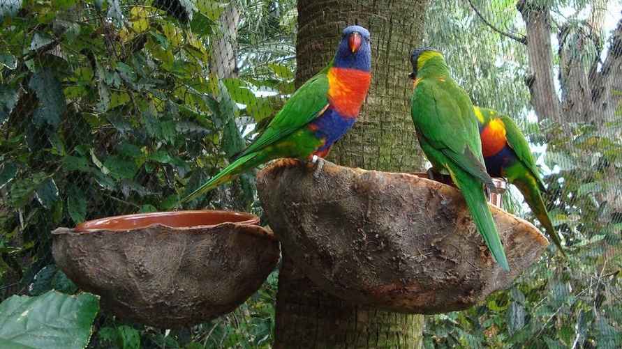 Фото tripadvisor.ru