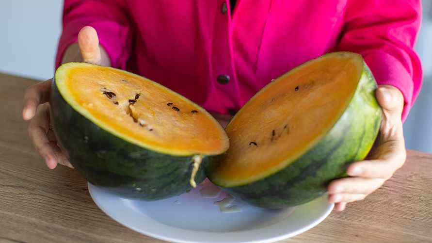 Фото: Onliner.by