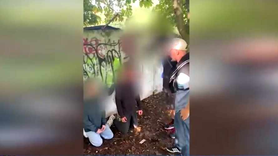 Скриншот с видео