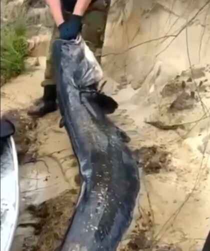 Скриншот с видео