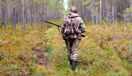 В Беларуси объявили о начале охоты на лося, лань и оленя. За что все равно оштрафуют на Br1110?