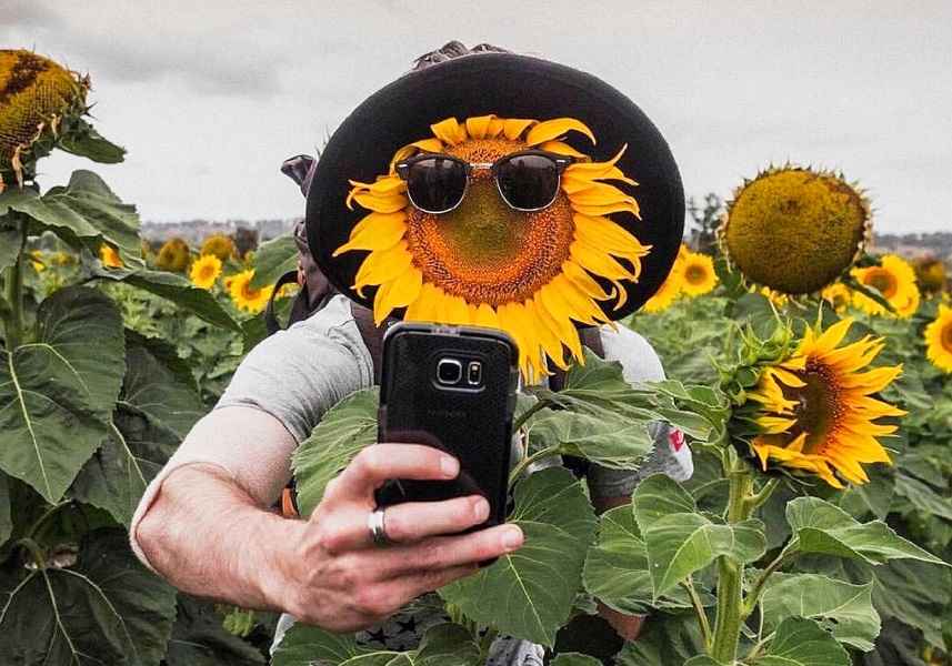 Синоптики назвали дату похолодания в Беларуси. Потом снова африканская жара?