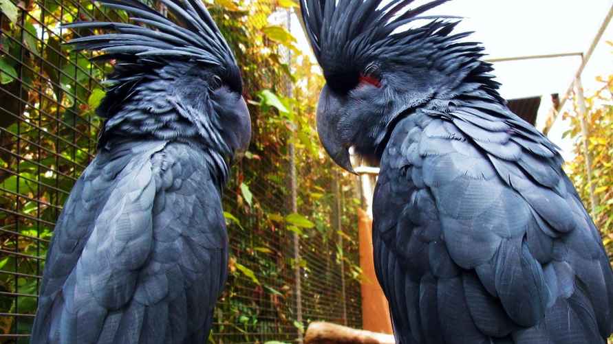 Фото: tripadvisor.ru