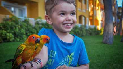 В Радошковичах открылся самый большой в Беларуси парк попугаев. Сколько стоит билет?