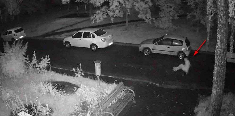 Скриншот с видео