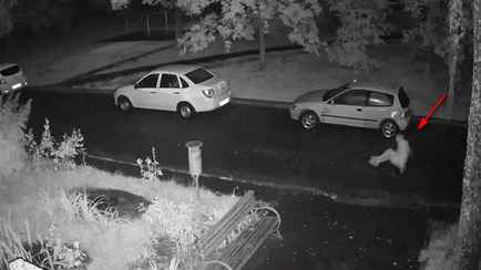 На видео попало, как в Могилеве мужчина 20 минут «плавал на лодке» по двору. Чем закончилось?