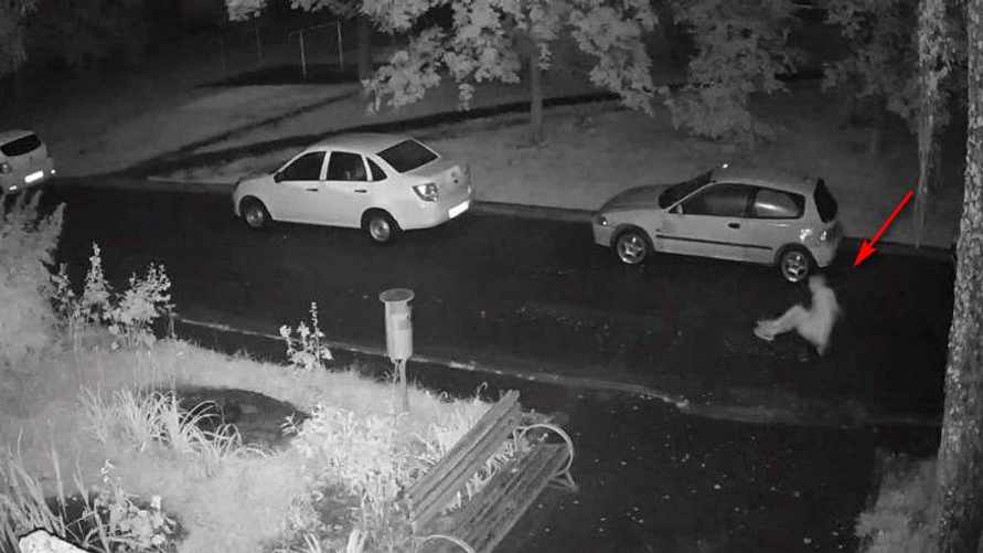 Скриншот с видео