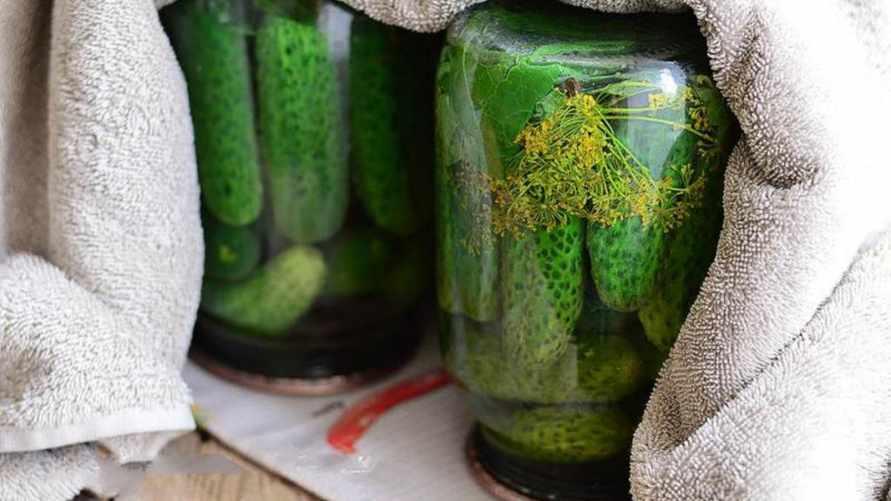 Большинство людей закатывают неправильно? Узнали, когда нужно переворачивать банки