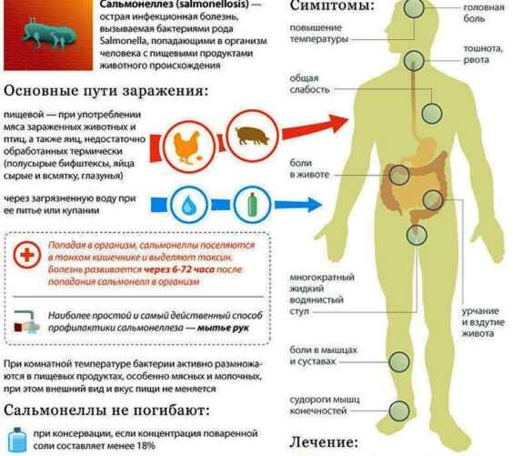Инфографика: 34poliklinika.by