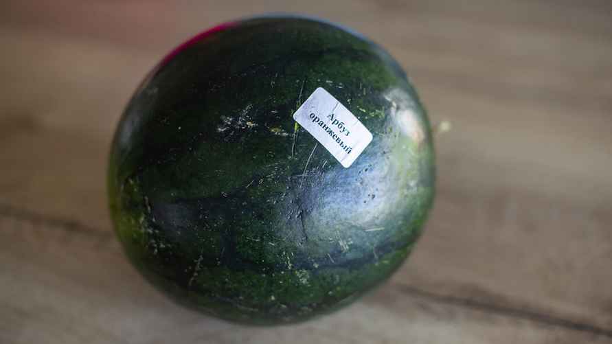 Фото: Onliner.by