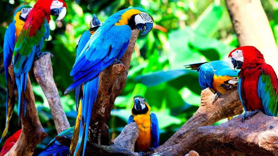 Фото: tripadvisor.ru