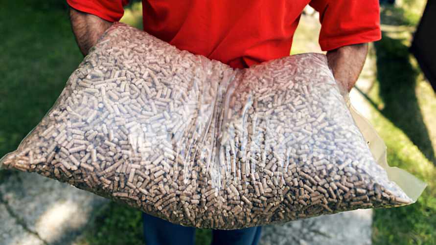 Совмин зафиксировал цены на древесные гранулы для белорусов