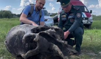 Под Гомелем в реке нашли останки мамонта