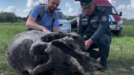 Под Гомелем в реке нашли останки мамонта