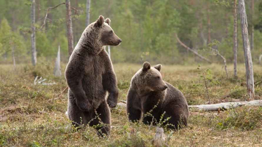 Фото иллюстрационное