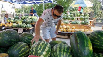 Любите арбузы? Врачи рассказали, кому нельзя есть эту ягоду