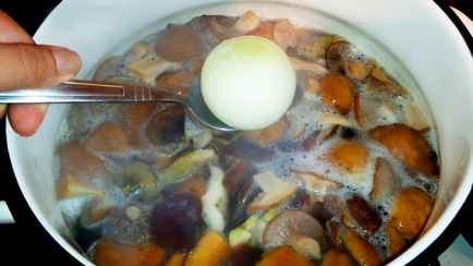 В Сети советуют кидать в грибы луковицу, чтобы найти ядовитые. Выяснили, правда ли это