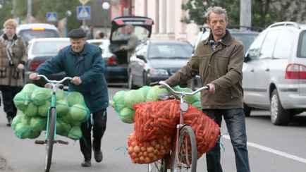 Картошка – по 1,1 рубля, помидоры – по 2. В «Белкоопсоюзе» рассказали, почем закупят овощи у белорусов