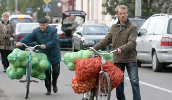 Картошка – по 1,1 рубля, помидоры – по 2. В «Белкоопсоюзе» рассказали, почем закупят овощи у белорусов