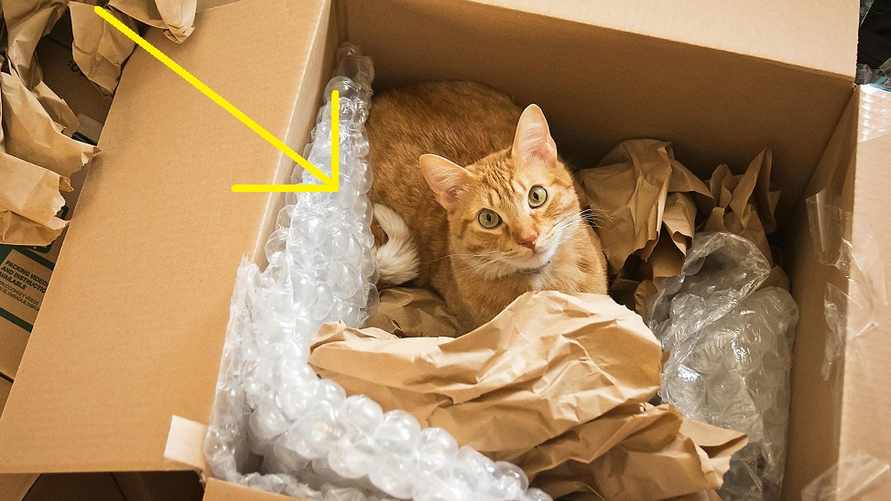 Это делают почти все кошки. Но мало кто из хозяев знает, почему