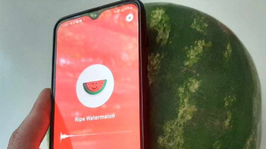 Фото используется в качестве иллюстрации