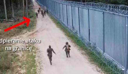 Польские пограничники показали стычки на границе с Беларусью