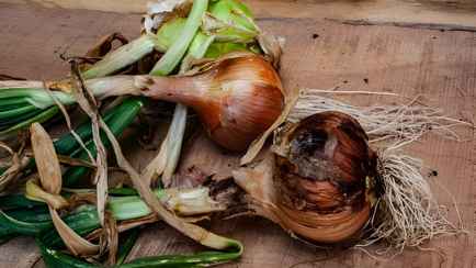 Многие делают эту ошибку. Если вы будете хранить лук рядом с этим, он превратится в гниль