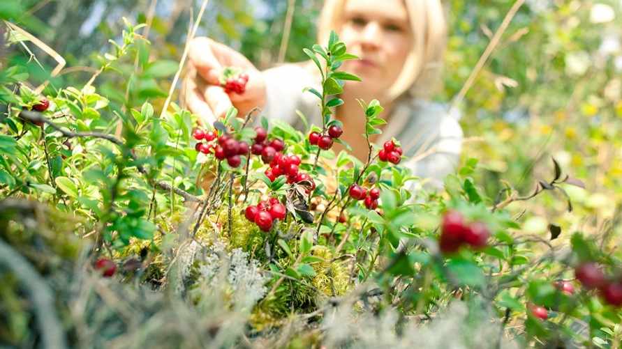 Фото иллюстрационное